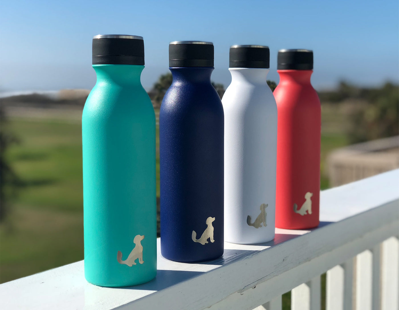 34oz Black Painted Stainless Steel Water Bottle – Friends of Whiskeytown