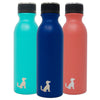 20oz Insulated Stainless Steel Bottle