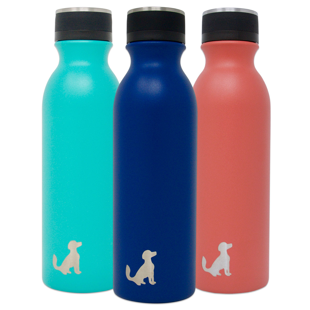 Double Wall Insulated Stainless Steel Water Bottle (3 colors available –  Aptera Shop
