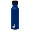 20oz Insulated Stainless Steel Bottle