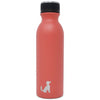20oz Insulated Stainless Steel Bottle