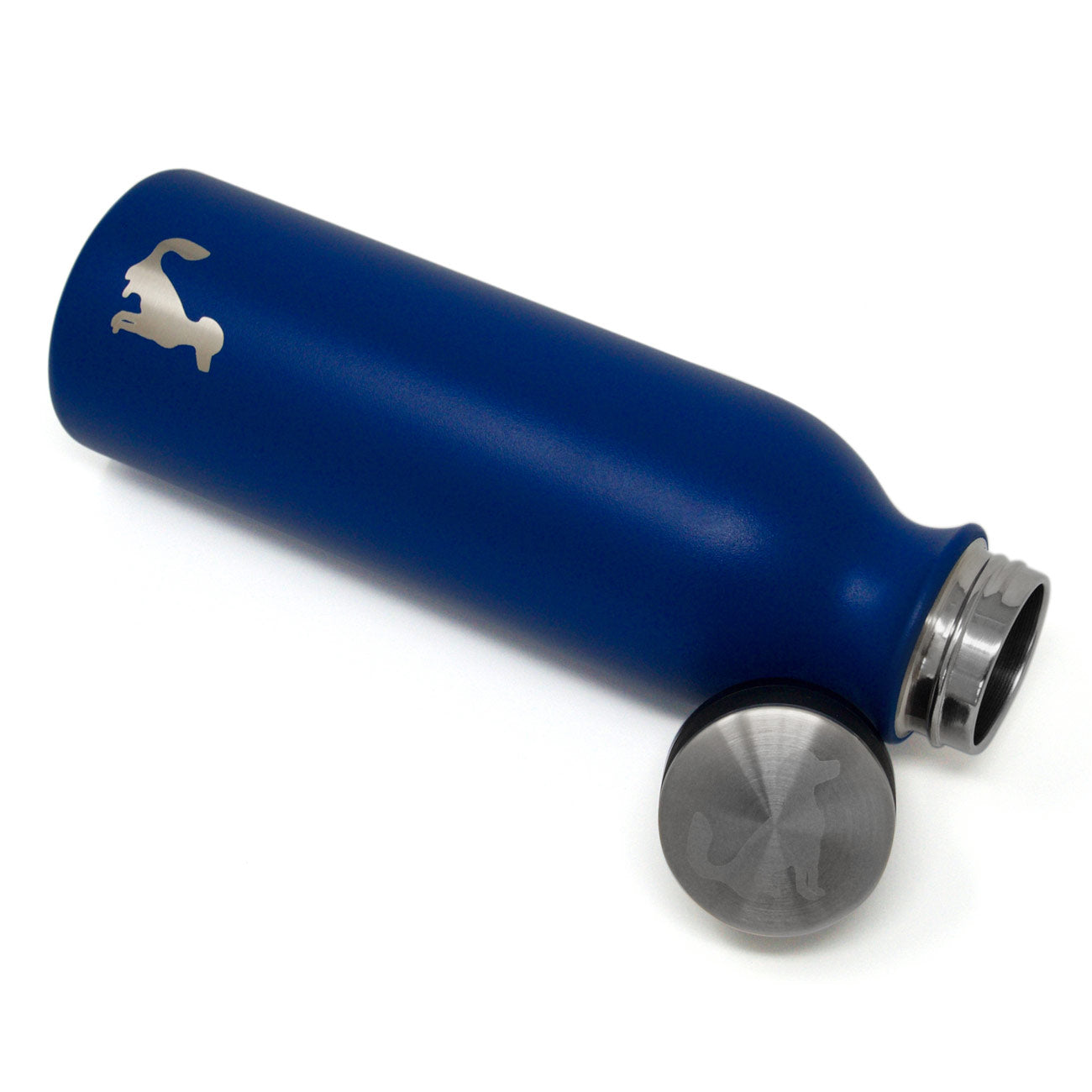 20oz Insulated Stainless Steel Bottle